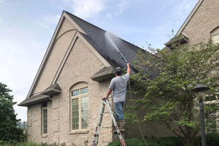 Roof cleaning